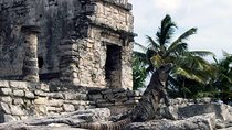 Amazing adventure in Tulum: Ruins, cenotes, transport and lunch