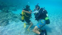 Beginners Discover Scuba Diving By Boat, Best Spot In Cyprus