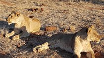 3 Nights Victoria Falls , Chobe Safari and Hwange National Park Safari