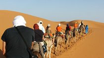 5 Days trip from FEZ to ESSAOUIRA spending a night in MERZOUGA and TODRA GORGES