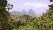 St. Lucia Tet Paul Nature Trail Tour