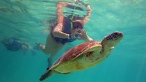 Private Experience: Akumal sea turtles encounter and Yal-kú lagoon colorfull fish snorkel.