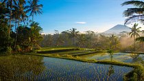 Bali Full Day Photography Tour