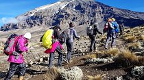 5 Days cheapest Kilimanjaro Marangu Route