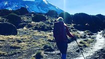 7 Days Mount Kilimanjaro Machame Route