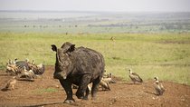 Half Day Nairobi National Park and Elephant Ophanage Tour From Nairobi