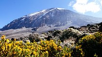 Climb Kilimanjaro - Marangu Route 8 Day Program