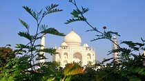 One Day Taj Mahal Tour from Jaipur by Car