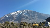 Mount Kilimanjaro Day Hike