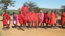 Masai Mara Interactive Safaris 