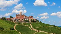 Alba Wine Tours, Private Tasting Experience around Langhe area.