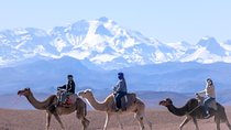 Day Trip:Berber Villages and 4 Valleys Atlas Mountains &Waterfu l& camel Ride