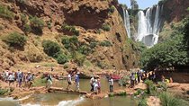 Marrakech: Private day trip to Ouzoud waterfalls