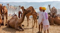 Private Day Trip to Ajmer and Pushkar from Jaipur