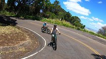 eBike Tour Honolulu Rainforest
