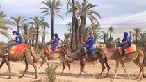 activities in Marrakech camel ride tour in palm grove
