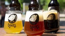 Private Kyiv Beer Tasting Walking Tour