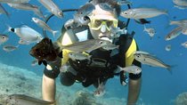 Scuba Diving Experience in Alanya