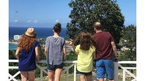 Spectacular Ocho Rios Sight Seeing & Highlight (Private Tour)