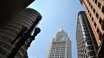 Half-Day São Paulo Highlights Tour