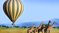 4-Day Maasai Mara & Lake Nakuru Budget Safari from Nairobi