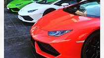 Antagonist Motors: Lamborghini, Ferrari, PaganiFactory, Lunch, Private transport