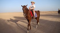 Horse Riding One Hour at Desert With Transfer - Sharm El Sheikh
