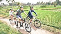 Bali Cycling Tour - exploring bali countryside by bike