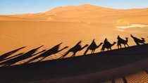 4 days trip from FEZ to MARRAKESH, spending a night in MERZOUGA and TODRA GORGES