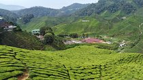 Private: Cameron Highlands 2 days 1 night Trip