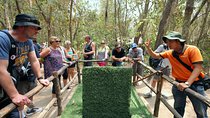 Cu Chi Tunnels and Mekong Delta Full Day Tour