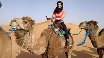 3 Days trip from MARRAKESH to FEZ with a night in OUARZAZATE and MERZOUGA