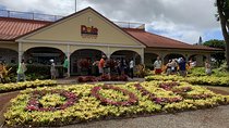 Small Group-Oahu Tour, Dole Plantation, Northshore, Sunset Beach