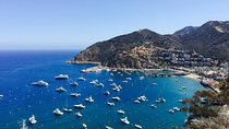 Catalina Island w/Discover Avalon Scenic Tour & Hotel transfers