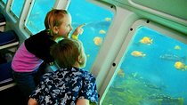 Catalina Island Day Trip from LAX area hotels with Undersea Adventure
