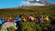 Mountain Kilimanjaro Climbing 7 Days Machame Route