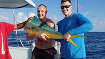 Miami Half Day Deep Sea Fishing Trip from Bayside Marketplace