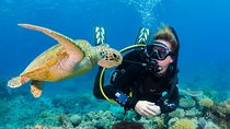 Scuba Diving on Catalina Island | 2 tanks, 2 spots