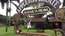 Appleton Estate Rum & Ys Falls private Transportation 