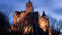 One day tour Dracula Castle. Libearty Bear Sanctuary. from Brasov