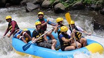 Best Bali Ayung River Rafting with Lunch 