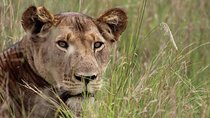3-Day Tarangire NP, Manyara NP & Ngorongoro Crater