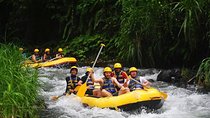 Ubud White Water Rafting with Private Transfer & Lunch