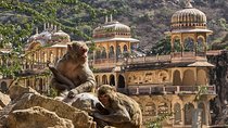 Full-Day Private City Tour of Jaipur