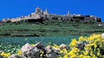 Mdina, Dingli cliffs and San Anton Gardens guided tour