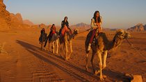 Petra, Wadi Rum, Dead Sea 4 Days 3 nights