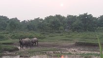 Luxury Chitwan Jungle Safari - 3 Days