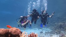 Padi Scuba Diving In Marsa Alam