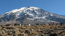 7 Days Kilimanjaro Climb Machame route