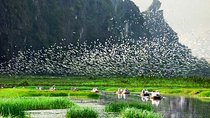 Ninh Binh – Van Long Wetland Reserve 2 Days 1 Night